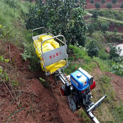 Factory price Mountain orchard self-propelled monorail transporter Pastoral transport aircraft