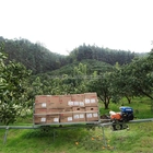 wholesale Mountain orchard monorail transporter for transporting fruit crops and fertilizers