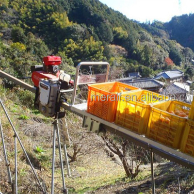 wholesale Mountain orchard monorail transporter for transporting fruit crops and fertilizers