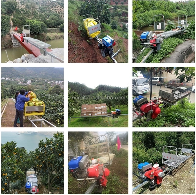 wholesale Mountain orchard monorail transporter for transporting fruit crops and fertilizers