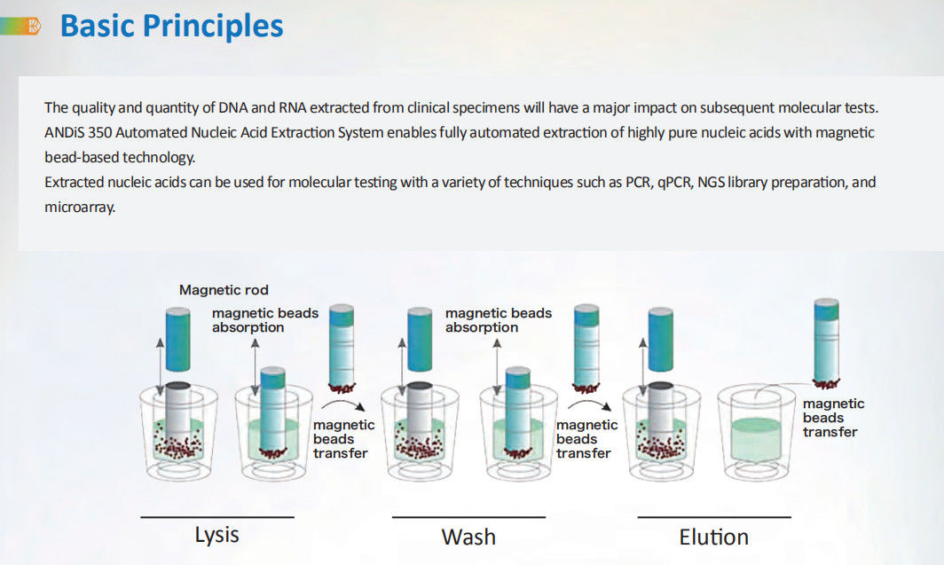 China laboratory automated viral nucleic nucleic acid detectors kit acid extraction system
